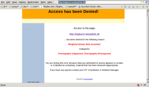 Page showing that a German political website has been blocked because it contains pornography (Japanese).